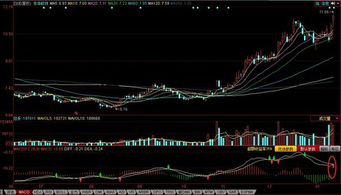 东华软件携手多方推进5G鹏霄生态布局，深化信息系统集成服务建设